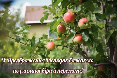 Яблочный Спас!: Дневник пользователя Rshut