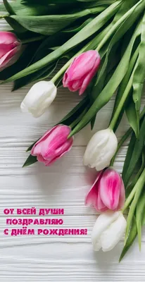 Дружище, от всей души поздравляю с днём рождения! — Скачайте на Davno.ru