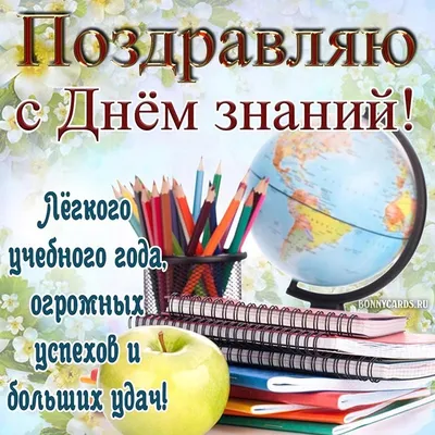 Картинки с Днем знаний: красивые и прикольные открытки к 1 сентября 2023 -  МК Красноярск