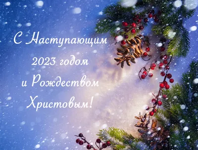 Примите самые искренние поздравления с наступающим Новым годом! – Новости –  Королевское управление социальной защиты населения