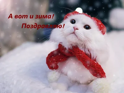 soatov_u_lns - Поздравляю всем первый день зимы!!!... | Facebook