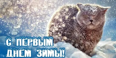 ▻ღ❄С 1 декабря - первый День Зимы..❄ღ◅˜ ~ Открытка (плейкаст)