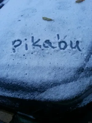 С первым снегом - картинки, красивые открытки и поздравления в прозе -  Главред