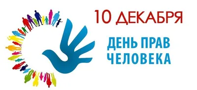 Поздравление с Днём образования Следственного комитета Российской  Федерации! | Кадетский корпус