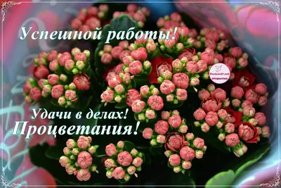 Поздравляю с успехом картинки фотографии