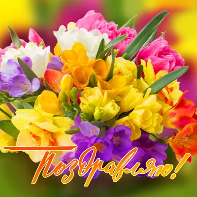 Цветы для поздравления с Днем Рождения - NewsRoom
