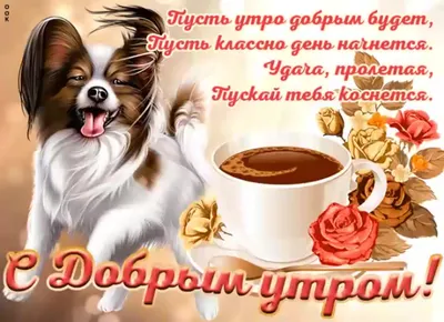 ПоздравОк, поздравления, открытки, стихи - С добрым утром ☕️😉 | Facebook