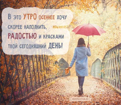 🍁С Добрым Осенним Утром!!!Доброе утро!🍂#доброеосеннееутро#сдобрымутр... |  TikTok