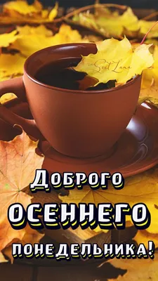 С добрым утром и хорошего дня в понедельник — открытки и картинки на вайбер  - Телеграф