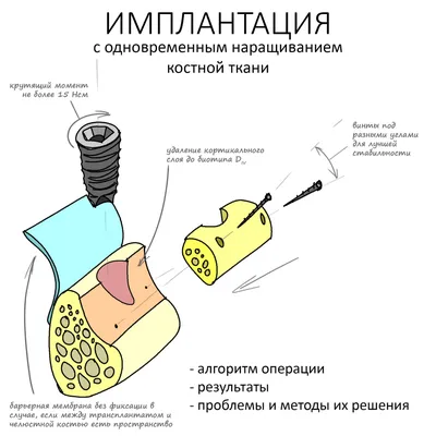 Монахиню Ливенской епархии наградили медалью за помощь СВО | 24.02.2023 |  Ливны - БезФормата