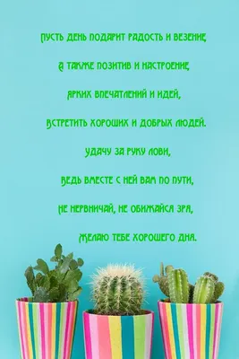 День молодежи! - Объявления - Администрация сельского поселения Сытомино -  Структура - Органы местного самоуправления и учреждения - Администрация  сельского поселения Сытомино