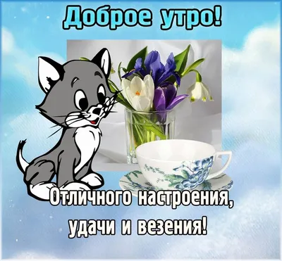 ♥♥♥ ПОЗИТИВ-позитивчик для ДРУЗЕЙ ღღღ | ВКонтакте | Доброе утро, Смешные  смайлики, Милые открытки