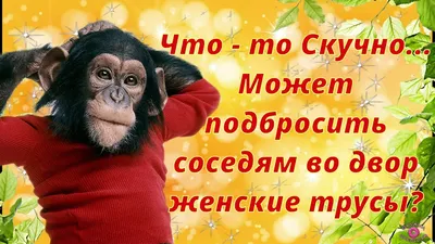 Субботний позитивчик