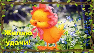 ДОБРОЕ 🐥🍃🌞🌿🐣 УТРО! ПОЗИТИВЧИК! | Смешные открытки, Доброе утро, Позитив