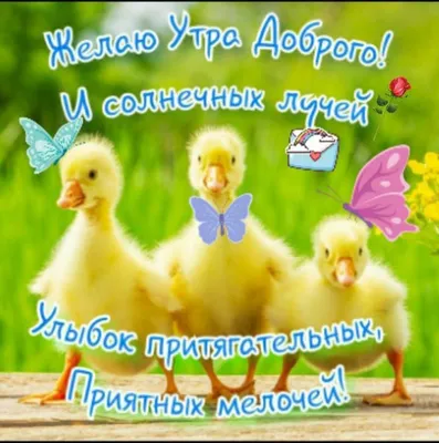 Надежда Бровкина - Доброе утро. Позитивного дня и отличного настроения 🥰  #доброеутро🥰 #позитивчик #отличногонастроения💕 | Facebook