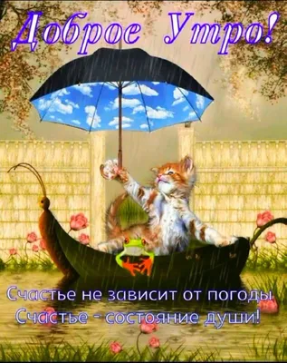 ДОБРОЕ 🌈🌂😸 ☔💐 УТРО! 💐 ПОЗИТИВЧИК! 🌿 | Дождливое утро, Доброе утро,  Милые открытки