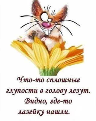 Блокнот Malamalama позитивного настроения купить по цене 270 ₽ в  интернет-магазине Детский мир