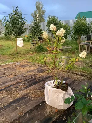 Топовые мемы и прикольные картинки за понедельник 06.07.2020г. | Приколы до  слёз | Дзен