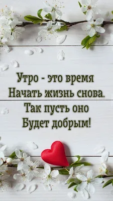 Сила позитивного мышления: как использовать закон притяжения | Мысли со  смыслом ! Сообщество мыслителей | Дзен