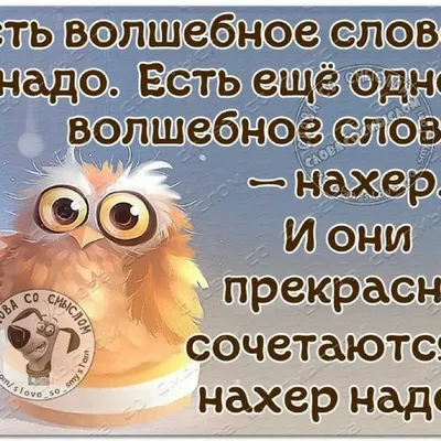 3,815 отметок «Нравится», 21 комментариев — Красивые слова со смыслом  (@slova_so_smysl0m) в Instagram: «Немн… | Позитивные цитаты, Юмор о  настроении, Короткие шутки