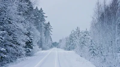 Позитивные картинки \"С Добрым Утром!\" (377 шт.)