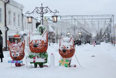 Доброе зимнее утро картинки позитивные (30 шт.)