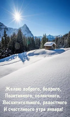 DSC_1869 | позитивная зима...добрая, веселая и вдохновляющая… | Andrey  Salikov | Flickr