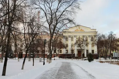 Крупным Планом Зимой Портрет Девушки В Шляпе Санта. Яркий Творческих  Макияж. Позитивные Эмоции. Девочка Держит Конфета. Фотография, картинки,  изображения и сток-фотография без роялти. Image 65681514