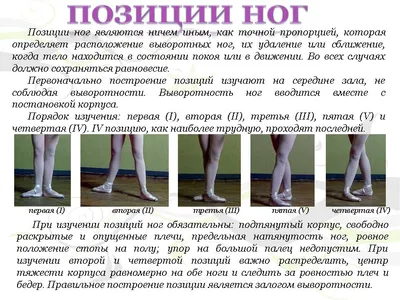 Позиции в балете с картинками (для новичков) | Алиса Кнатько | Дзен
