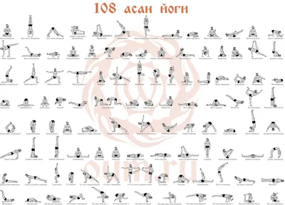 Асаны йоги: фото и описание с названиями и для чего они нужны