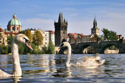 Фотография Прага Чехия город 1920x1280