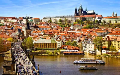 Весна в Праге: где найти цветущие магнолии и сакуры. | Путеводитель по Праге