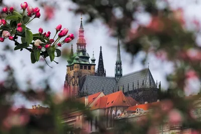 Прага в июне, отдых и погода в Праге (Чехия)