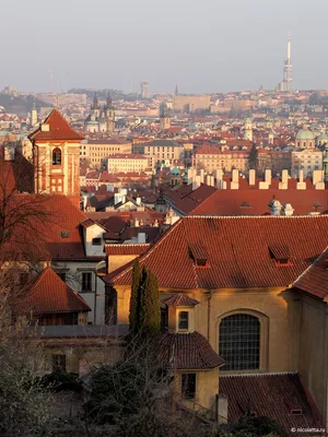 Прага в марте : Записки Николетты - Блог о Чехии