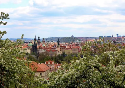 Достопримечательности Праги: ТОП-20. Что посмотреть, куда сходить в Праге