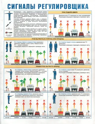 Где можно парковаться, а где нельзя (где разрешена и запрещена парковка)