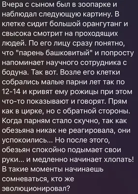 Зоопарк: истории из жизни, советы, новости, юмор и картинки — Все посты |  Пикабу