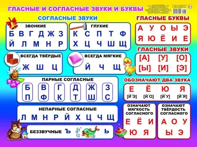 Правила русского языка 1 класс в картинках