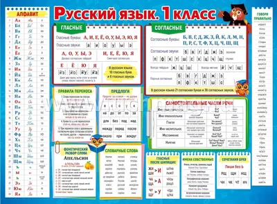 Плакат \"Русский язык. 1 класс\" – купить по цене: 43 руб. в  интернет-магазине УчМаг