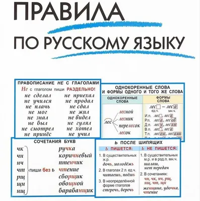 Правила русского языка для учеников 2 класса в картинках | Уроки письма,  Задания на грамотность, Школьники