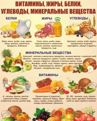 Правильное питание - это вкусно. | Оля Суворова. Канал о семье и семейных  ценностях | Дзен