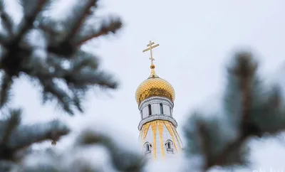 Православные отмечают Вербное воскресенье - газета «Кафа» новости Феодосии  и Крыма