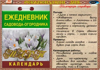 Жаворонки. История и рецепт - Православный журнал «Фома»
