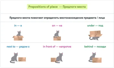 Рабочий лист по английскому языку на тему Prepositions of place (Предлоги  места)