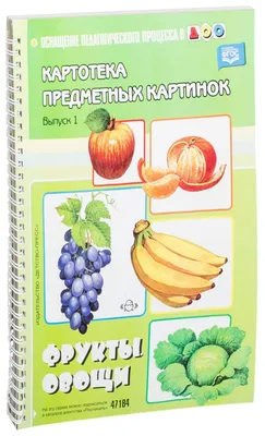 Иллюстрация 7 из 16 для Картотека предметных картинок. Выпуск 28. Предметный  словарь в картинках. Мир вокруг меня - Светлана Коноваленко | Лабиринт -  книги. Источник: Василенко Ольга