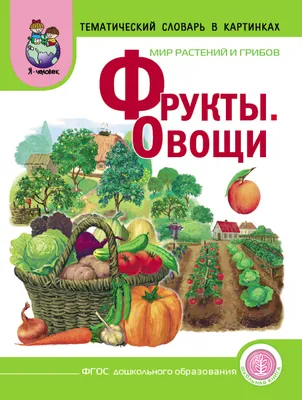 Комплект Фрукты-овощи / 16 шт в системе хранения Игротека купить по  выгодной цене, артикул 7250 - Фабрика «Росигрушка»