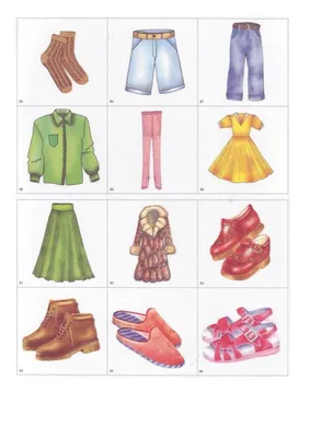 Предметные картинки | Homeschool clothing, Clothes, Cartoon outfits
