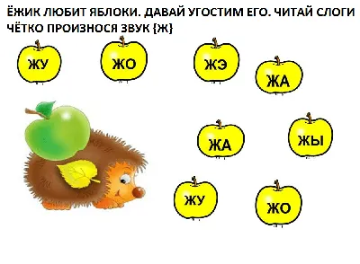 Предметные картинки со звуком ж фотографии