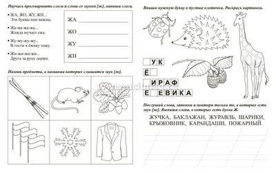 Предметные картинки на автоматизацию звуков. Звук Ж. Картинки для печати |  Дефектология Проф