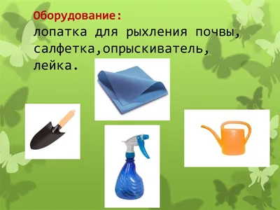 Набор GRINDA для ухода за комнатными растениями: Совок посадочный широкий,  совок посадочный, грабельки, 3 (id 30357068), купить в Казахстане, цена на  Satu.kz